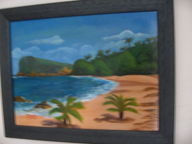 playa de Cerro Gordo Acrylic Panel Landscaping