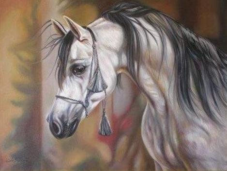 CABALLO REJONEO Oil Canvas Animals