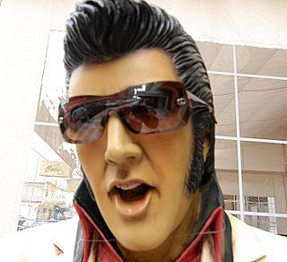 Elvis zipitoste maggic 