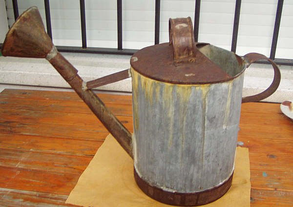 regadera para restaurar ( antes ) 