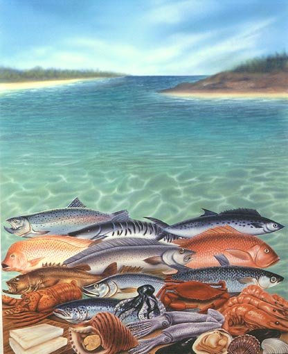 Peces