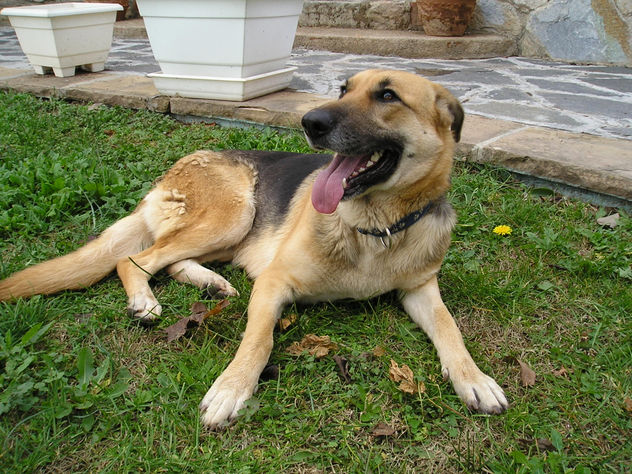 txiqui