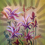 Flores thumbnail 1