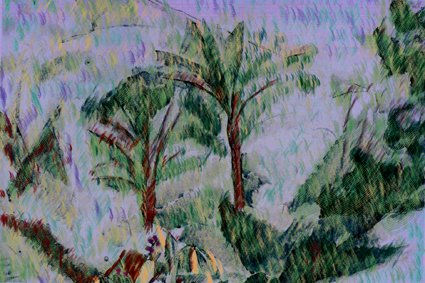Palmeras