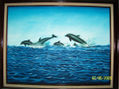 Marina y sus Delfines