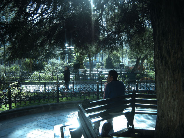 Parque Central 