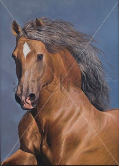 CABALLO DE P.R.E.