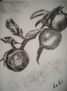 Manzanas