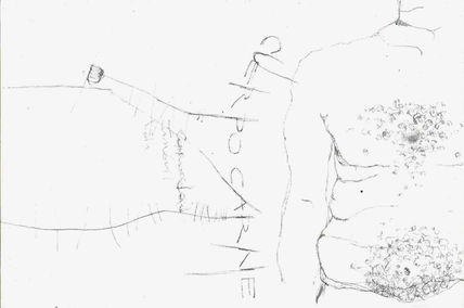 Serie Cuerpo -Carne VI