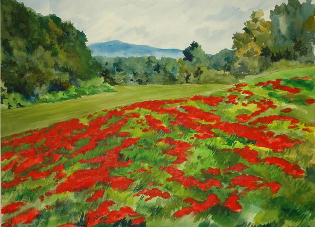 Campo de amapolas Watercolour Paper Landscaping