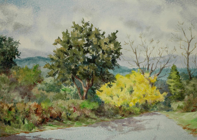 Mimosas Watercolour Paper Landscaping