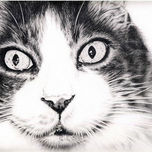 Dibujos thumbnail 2