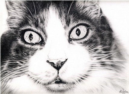 Mirada