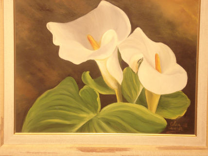 Calas blancas