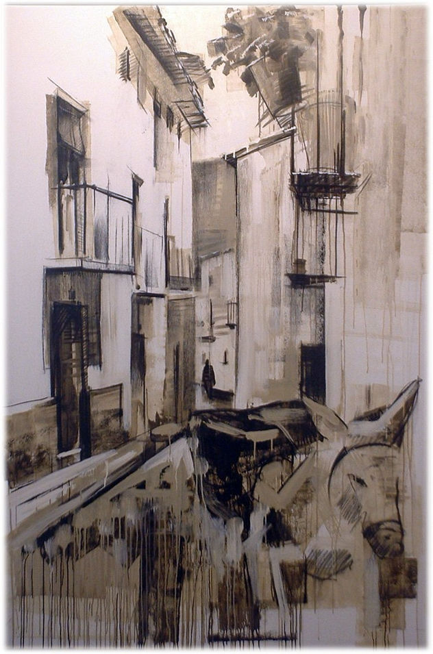CALLES DE JAEN CON BURRO