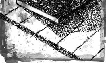 blanco y negro