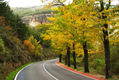 Otoño en Castilla La Mancha