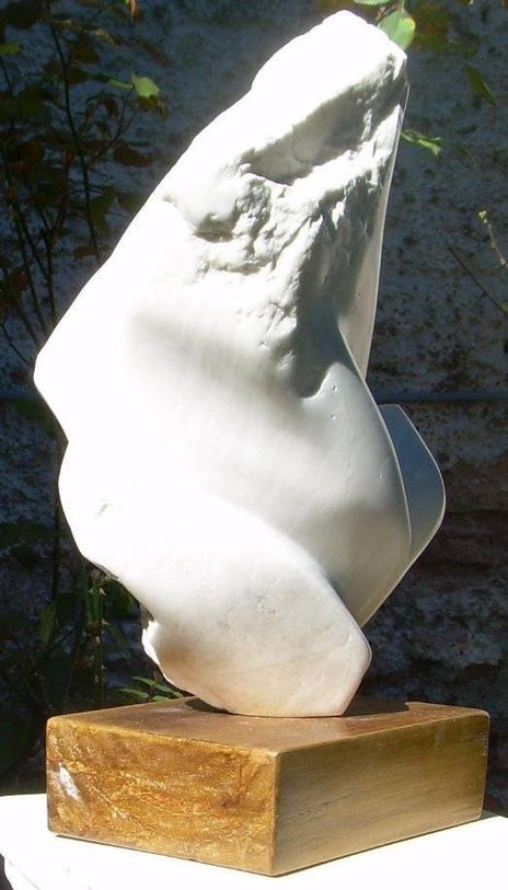 Vuelo