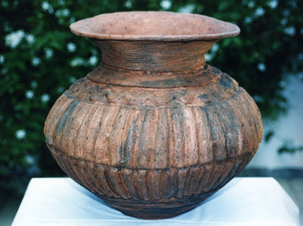 Vaso