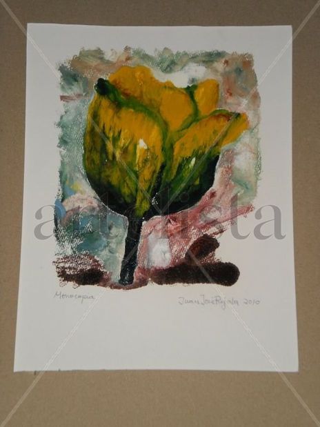 Flor