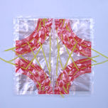 Sistémico y Modular thumbnail 1