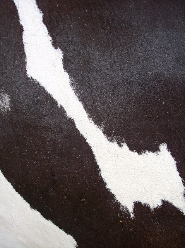 cosa 7