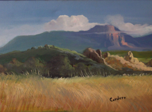 Gran Sabana Oil Canvas Landscaping