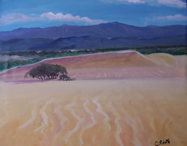 Medanos de Coro Oil Canvas Landscaping