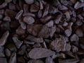 cosa 11