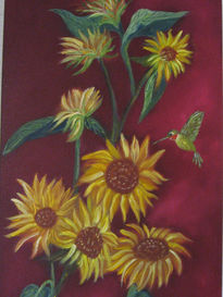 Girasoles