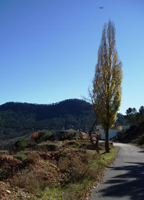 Paterna del Madera....