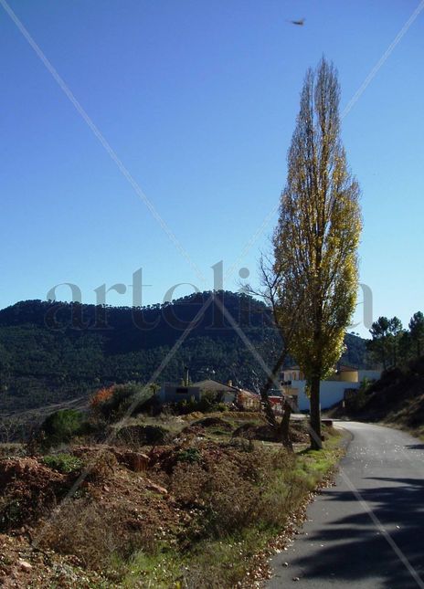 Paterna del Madera....