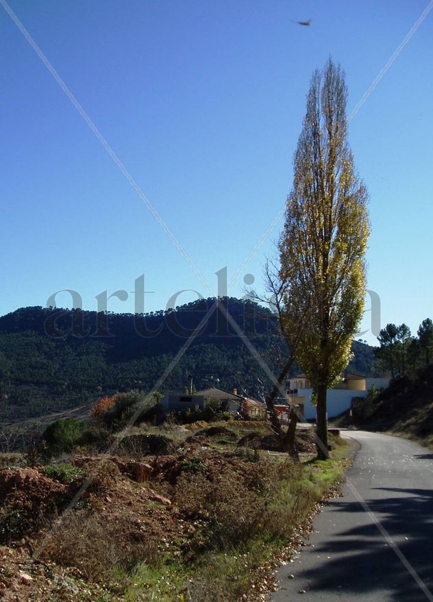 Paterna del Madera. Albacete. España.