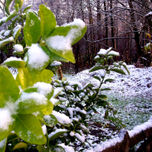 Invierno thumbnail 2
