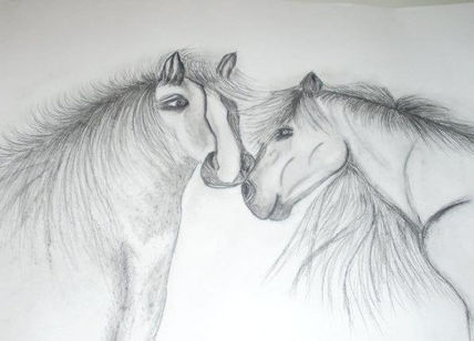 Pareja