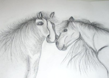 Pareja