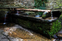 Fuente de verdes