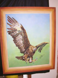 Aguila