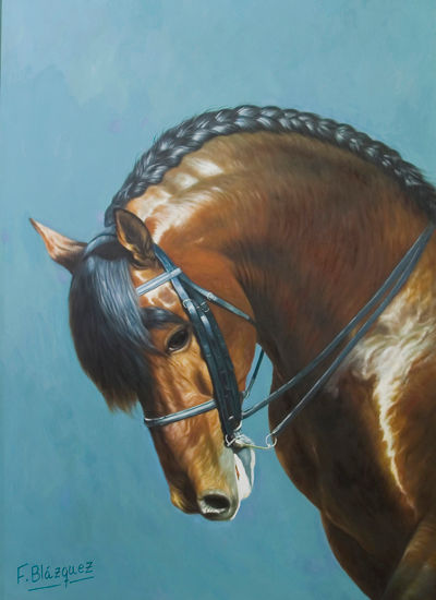 Caballo de p.r.e.