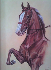 Caballo