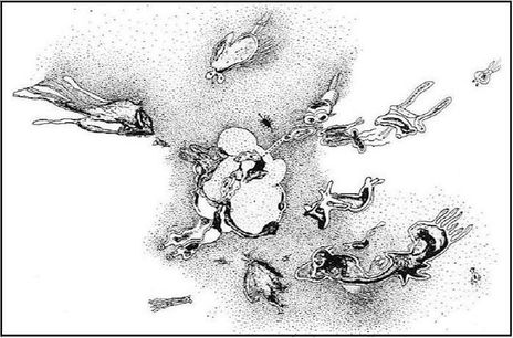Bichitos 2