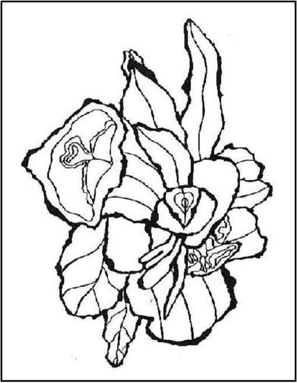 Flores Tinta