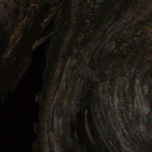 NATURALEZA thumbnail 1