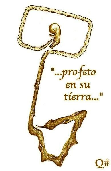 " LAS PROFECÍAS DE LA TIERRA DE CONEJOS "