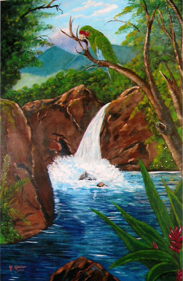 La cotorra de Puerto Rico Acrylic Canvas Animals