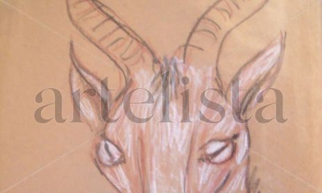 Animais (óleo e aquarelas)