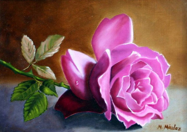 Una Rosa Oil Canvas Floral Painting