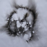 Capnografia, Smoked Paintings, Fumage. thumbnail 1
