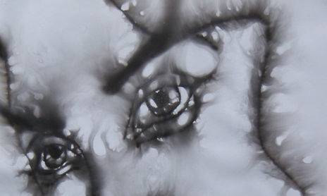 Capnografia, Smoked Paintings, Fumage.
