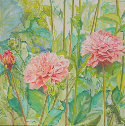 Dalias 3
